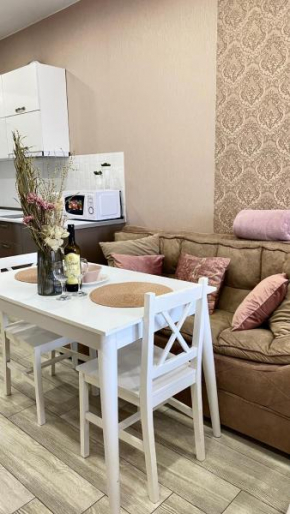 Studio near the historic center with Mountain View